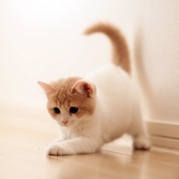 gribzu.png?1773141939