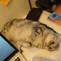 kktcbd.png?1773141703